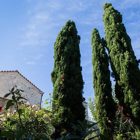 Arcus Suites Aryiroúpolis Exteriér fotografie